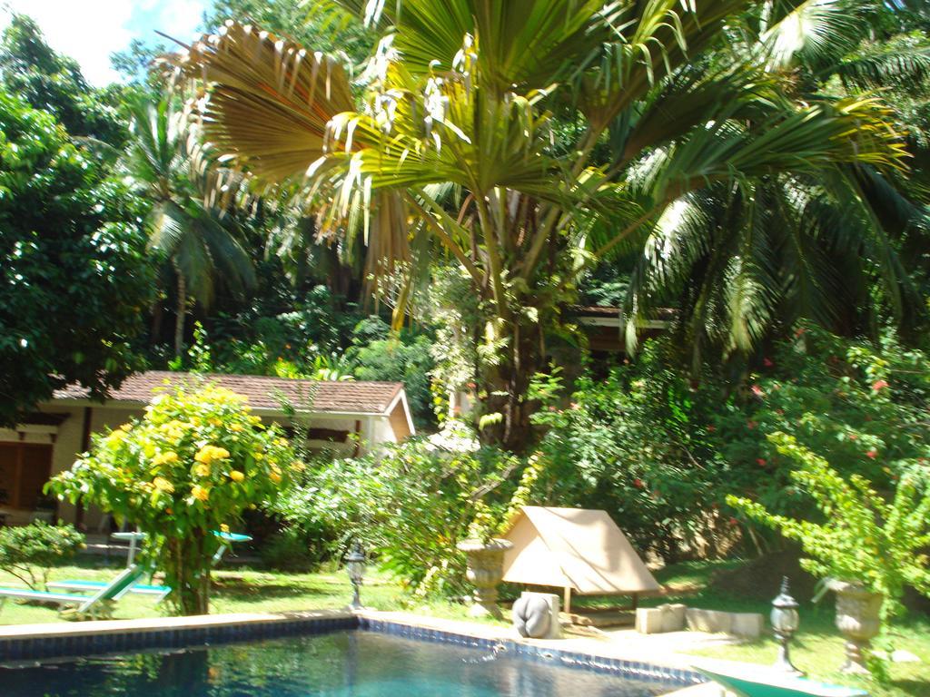 Coté Sud - Unique Villa&Bungalows Intendance Road Takamaka Habitación foto