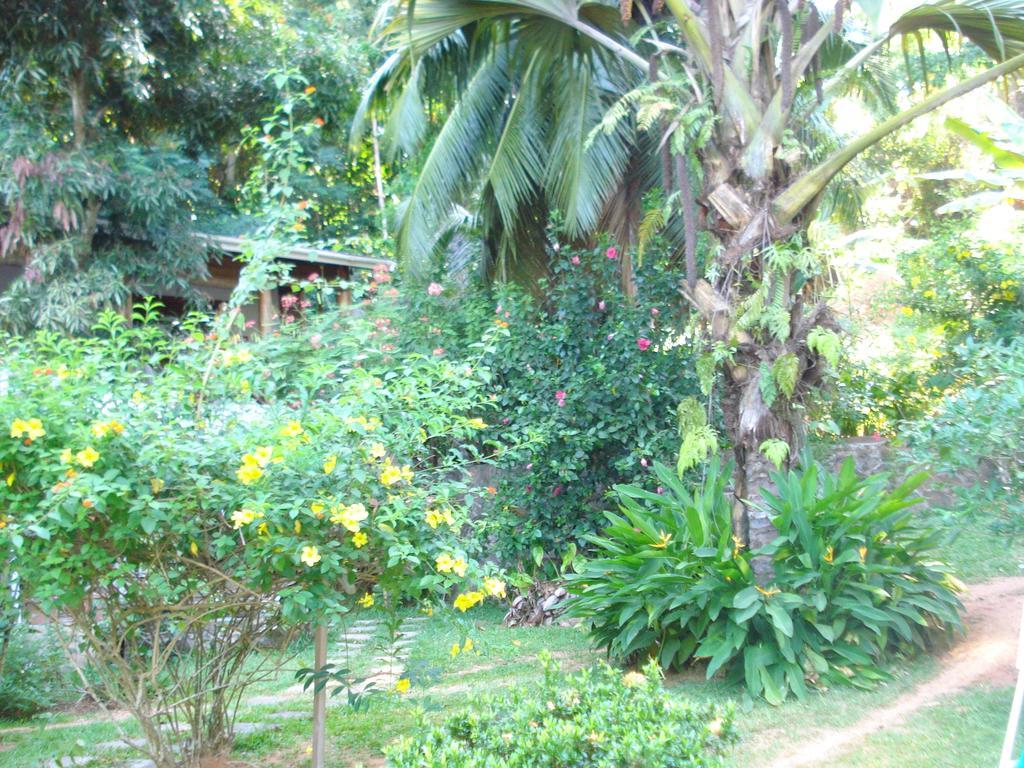 Coté Sud - Unique Villa&Bungalows Intendance Road Takamaka Habitación foto
