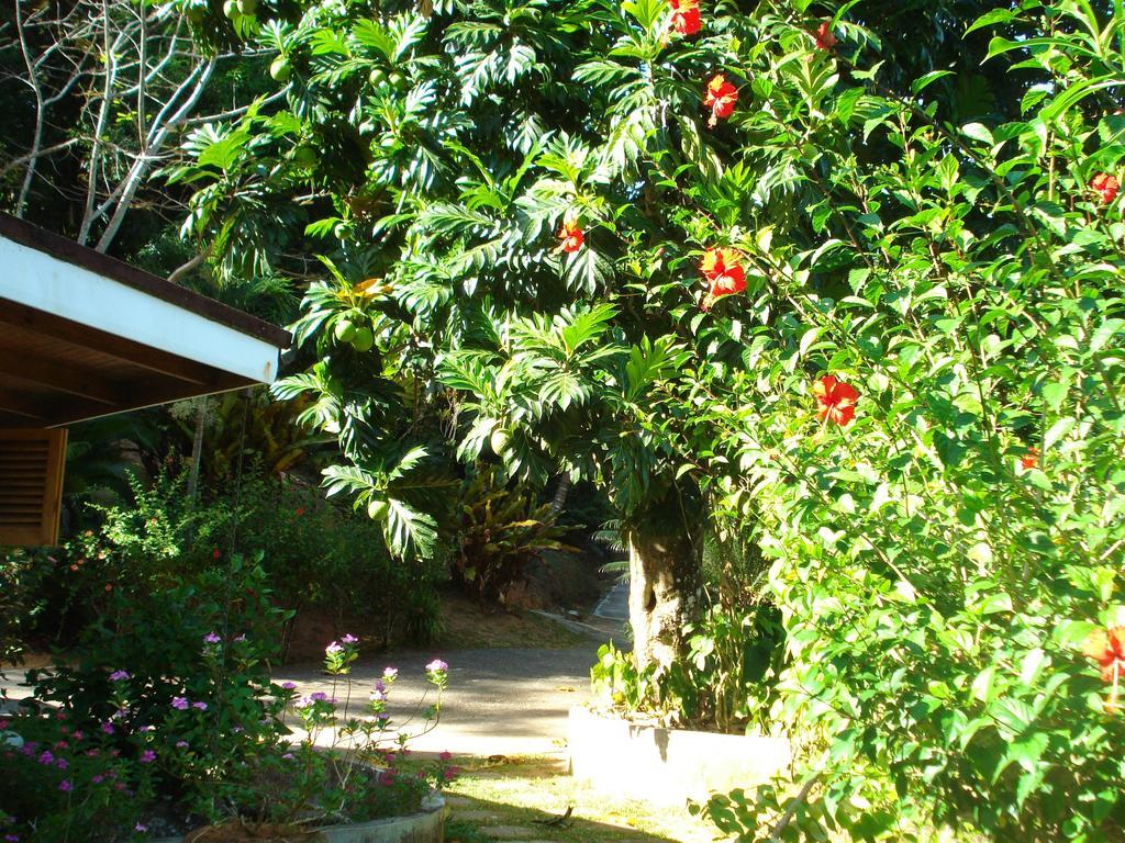 Coté Sud - Unique Villa&Bungalows Intendance Road Takamaka Habitación foto